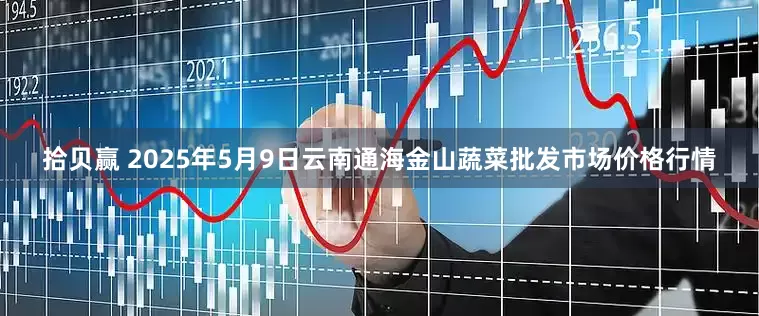拾贝赢 2025年5月9日云南通海金山蔬菜批发市场价格行情