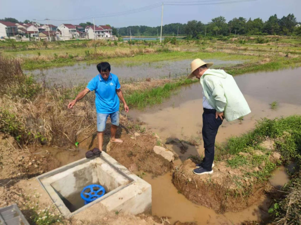 秦安配资 怀宁县雷埠乡：加强巡堤护堰下好抗旱先手棋_大皖新闻 | 安徽网