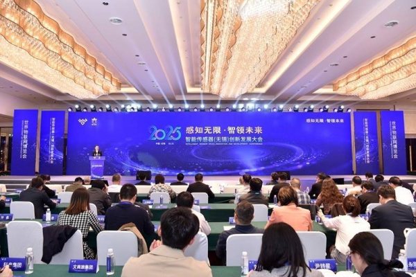 配资猫 2025智能传感器（无锡）创新发展大会在无锡高新区举行